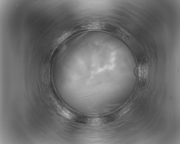 X0000058820301200510171544