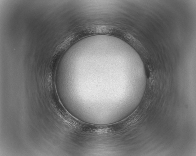 X0000058820306200510171544