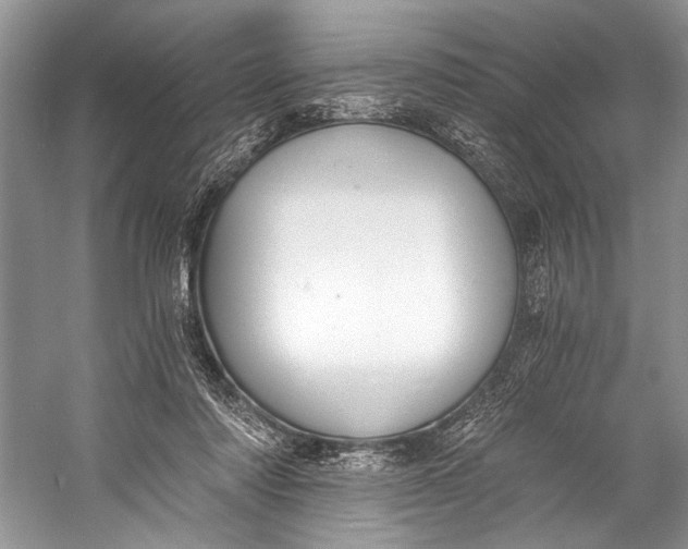 X0000058820310200510171544
