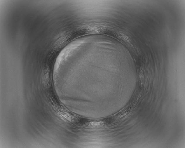 X0000058820314200510171544