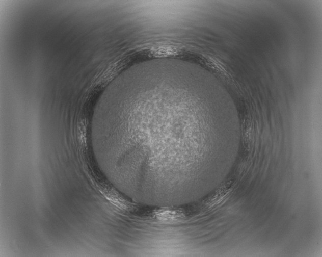 X0000058820315200510171544