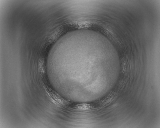 X0000058820316200510171544