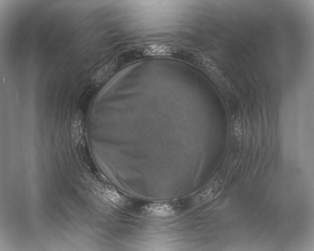 X0000058820322200510171544