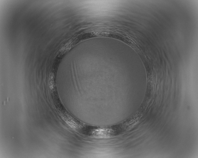 X0000058820323200510171544