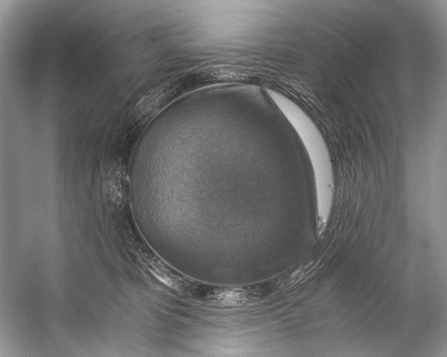 X0000058820325200510171544