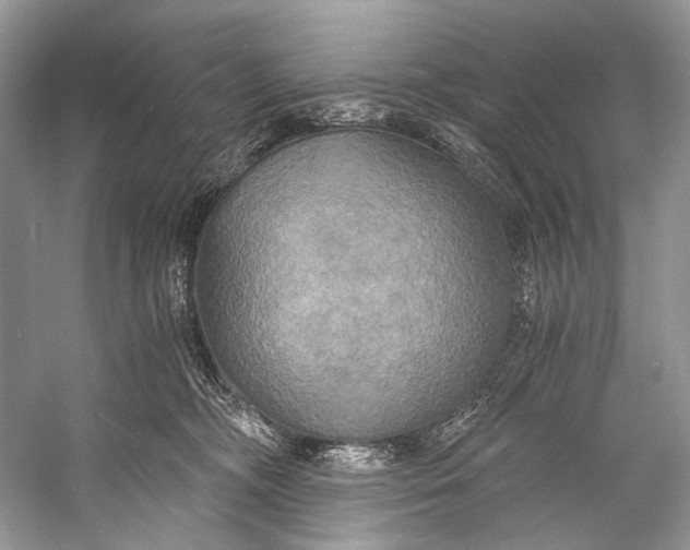 X0000058820326200510171544