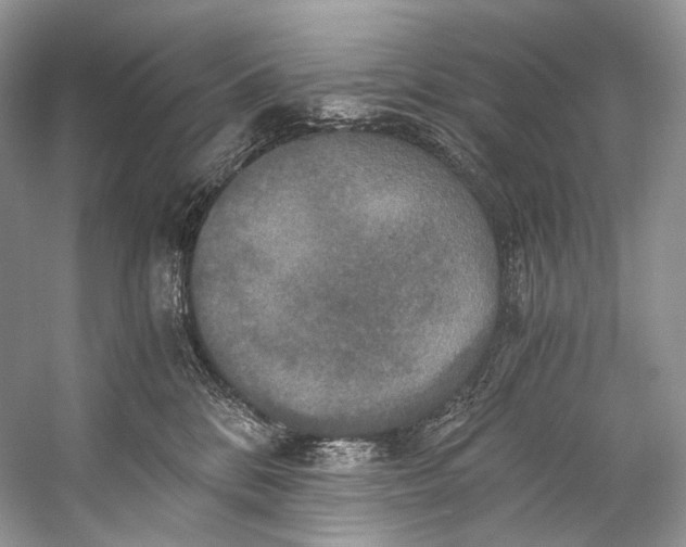 X0000058820328200510171543