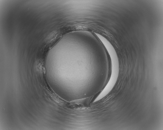 X0000058820329200510171543