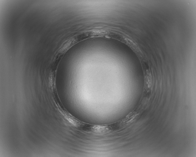 X0000058820333200510171543