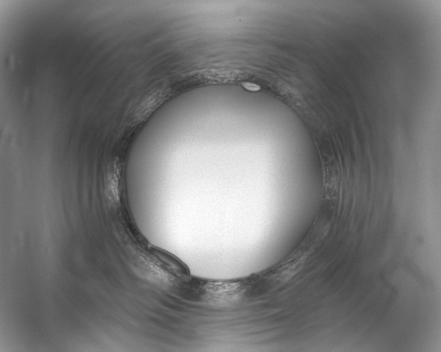 X0000058820334200510171543