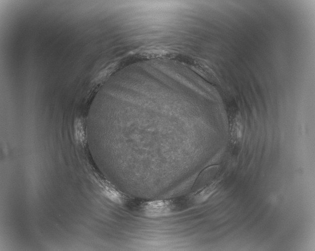 X0000058820335200510171543