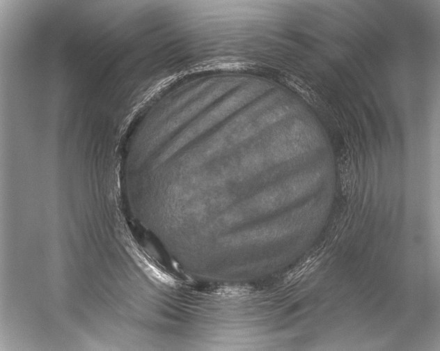 X0000058820350200510171543