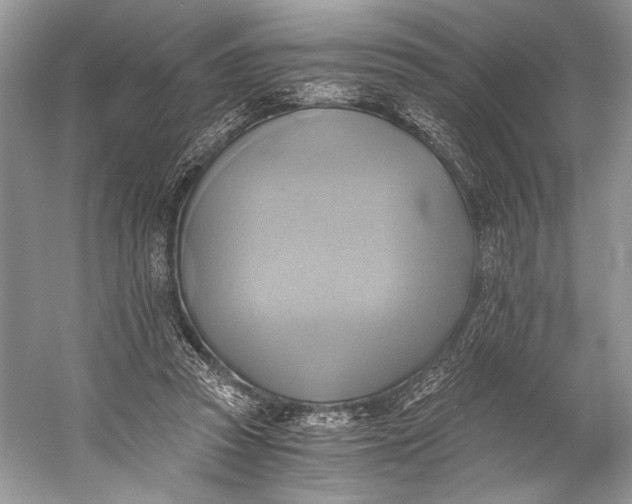 X0000058820353200510171543