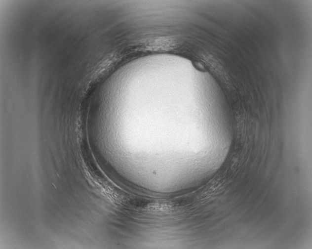 X0000058820354200510171543