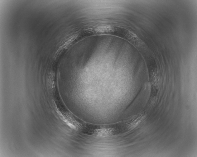 X0000058820356200510171543