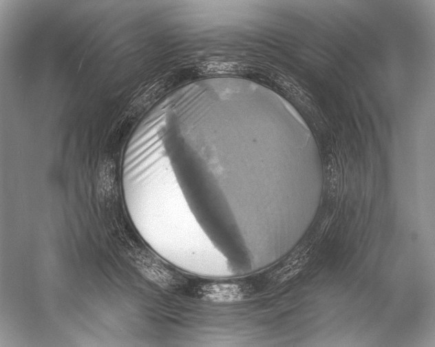 X0000058820361200510171543