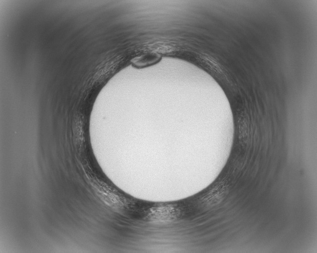 X0000058820362200510171543