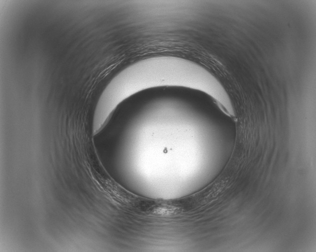 X0000058820364200510171543