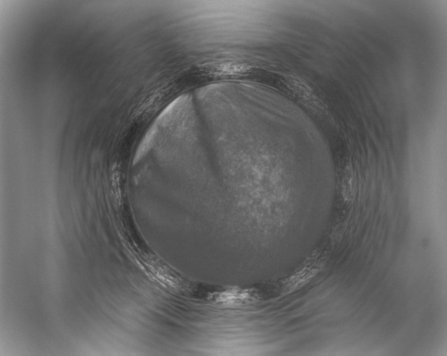 X0000058820366200510171543