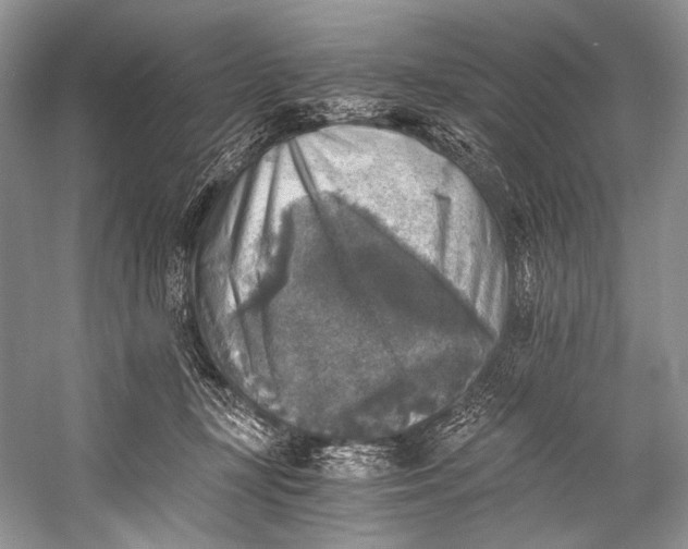 X0000058820367200510171543
