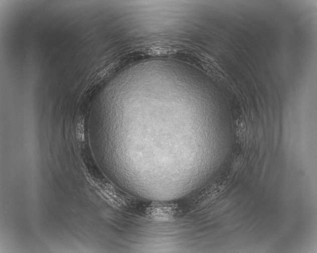 X0000058820368200510171543