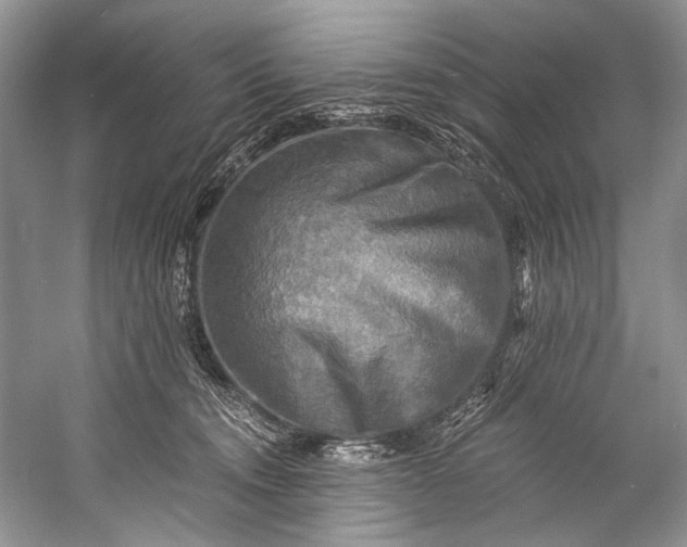 X0000058820372200510171543