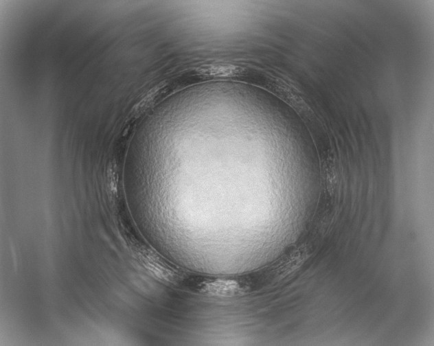 X0000058820374200510171543