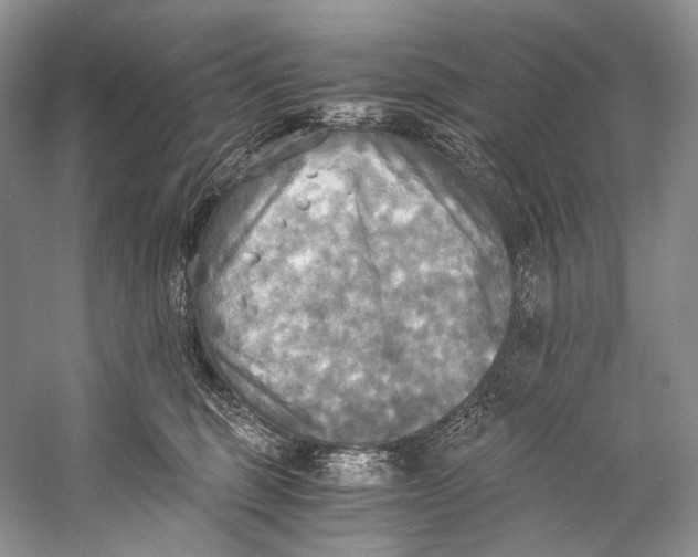 X0000058820375200510171543