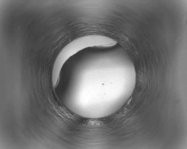 X0000058820376200510171543