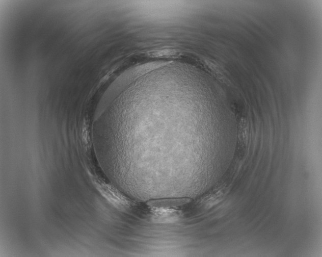 X0000058820380200510171543