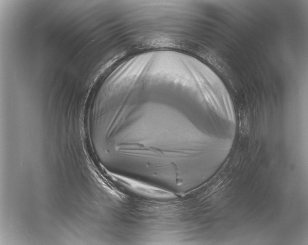 X0000058820390200510171542