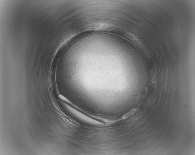X0000058820392200510171542