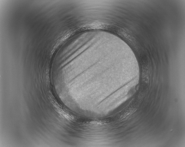 X0000058820394200510171542