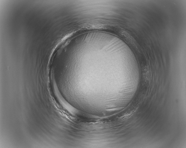 X0000058820395200510171542