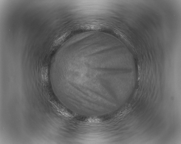 X0000058820403200510171542