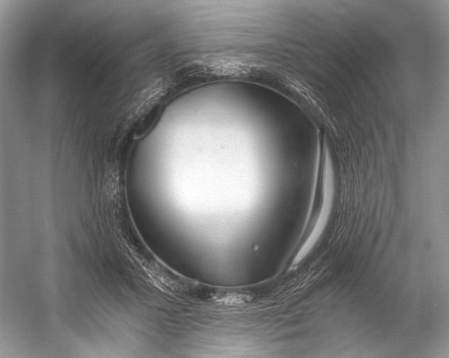X0000058820407200510171542