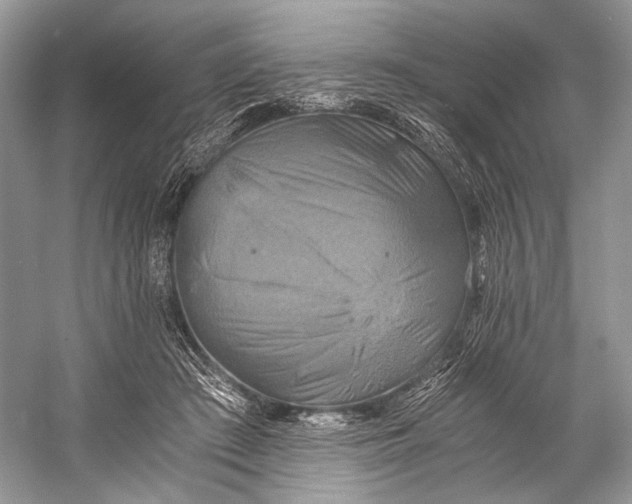 X0000058820409200510171542