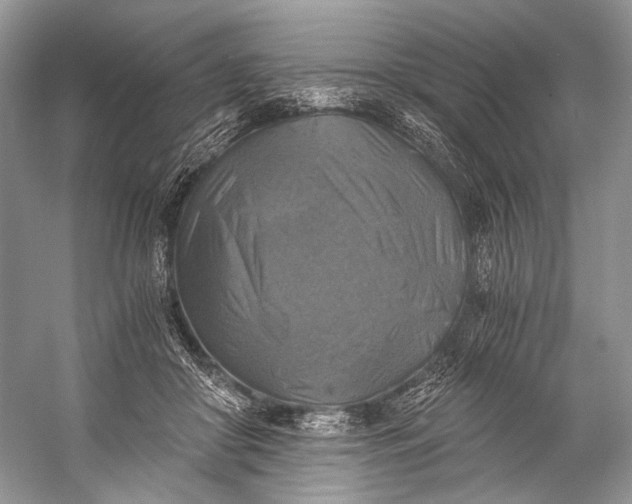 X0000058820410200510171542