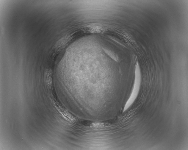 X0000058820413200510171542
