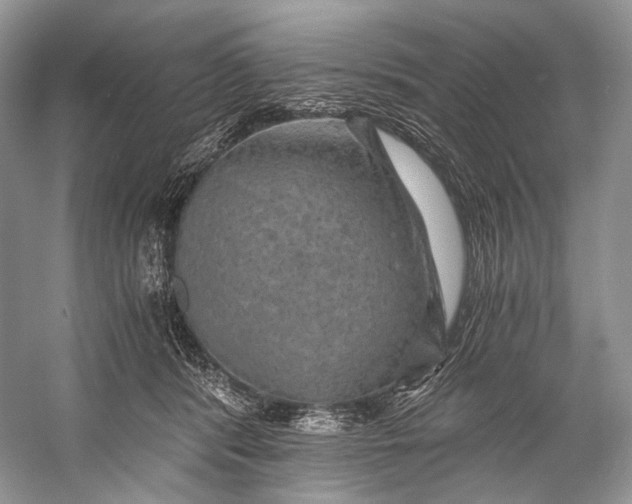 X0000058820416200510171542
