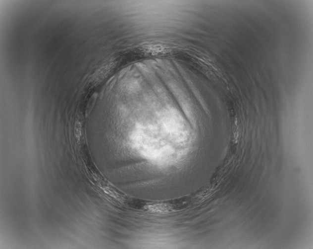 X0000058820417200510171542
