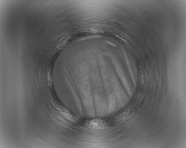 X0000058820420200510171542