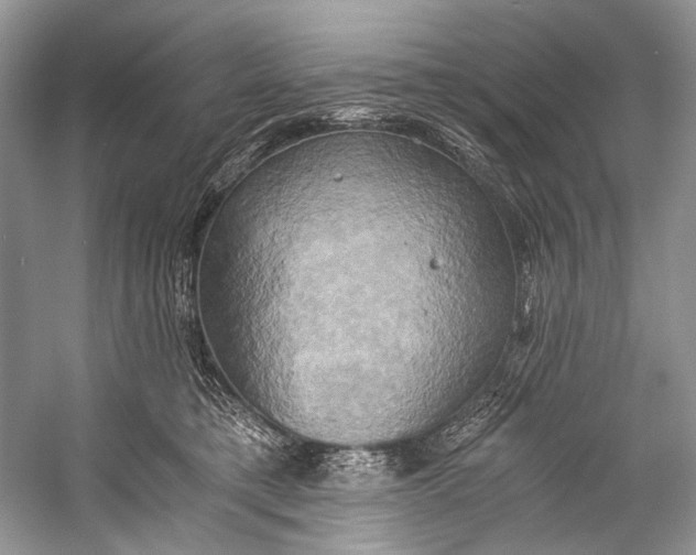 X0000058820421200510171542