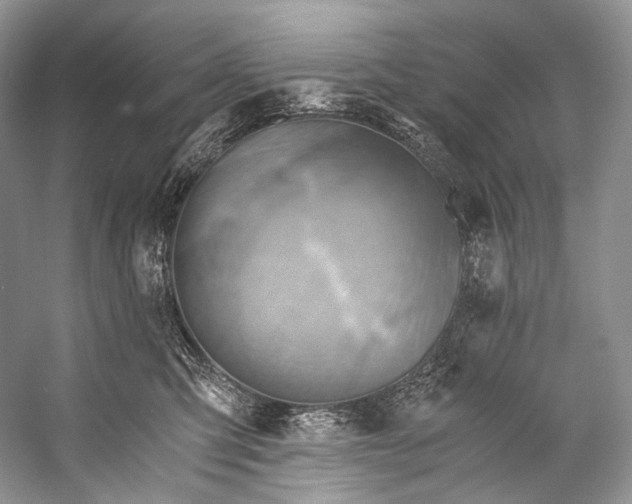 X0000058820423200510171542