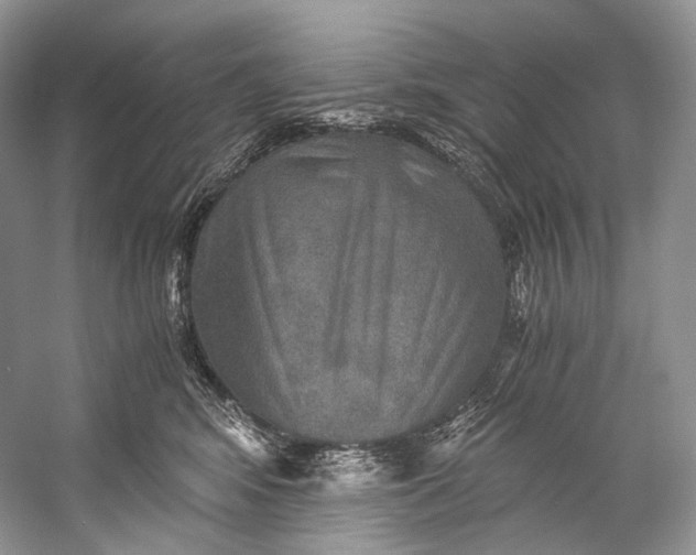 X0000058820424200510171542