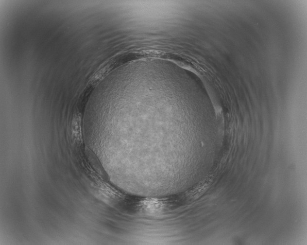 X0000058820425200510171542