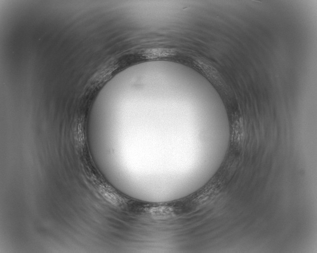 X0000058820426200510171542