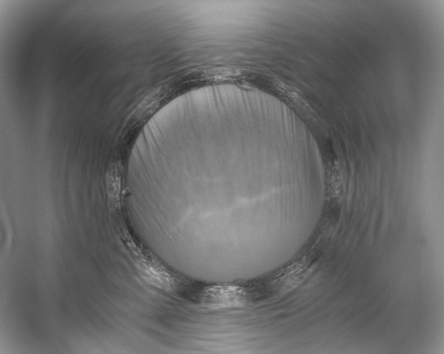 X0000058820427200510171542