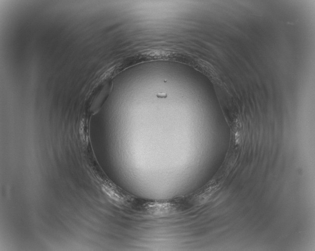 X0000058820428200510171542