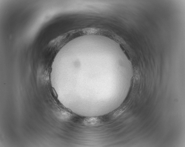 X0000058820431200510171542